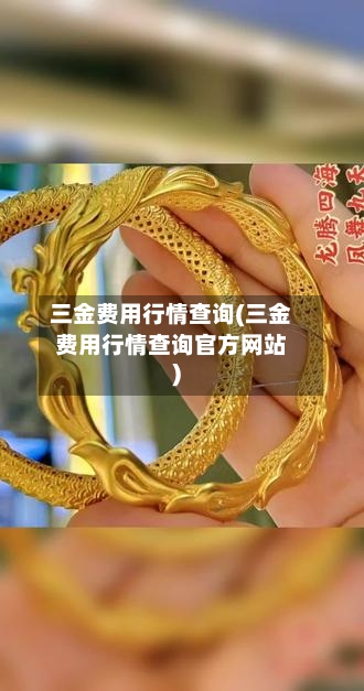 三金费用行情查询(三金费用行情查询官方网站)-第2张图片