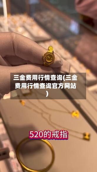 三金费用行情查询(三金费用行情查询官方网站)-第3张图片