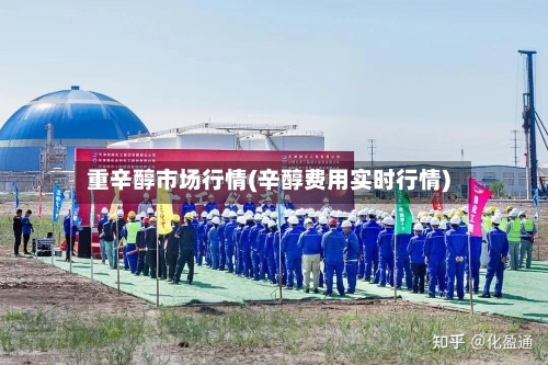 重辛醇市场行情(辛醇费用实时行情)-第2张图片