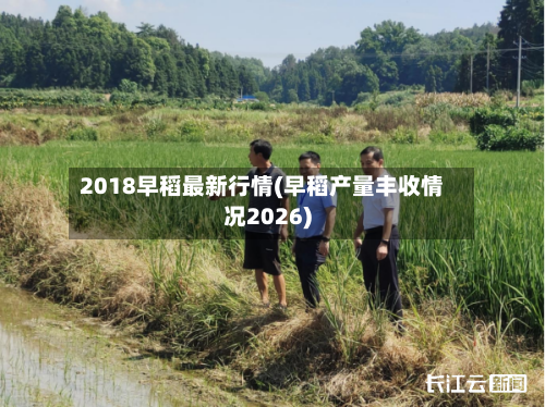 2018早稻最新行情(早稻产量丰收情况2026)