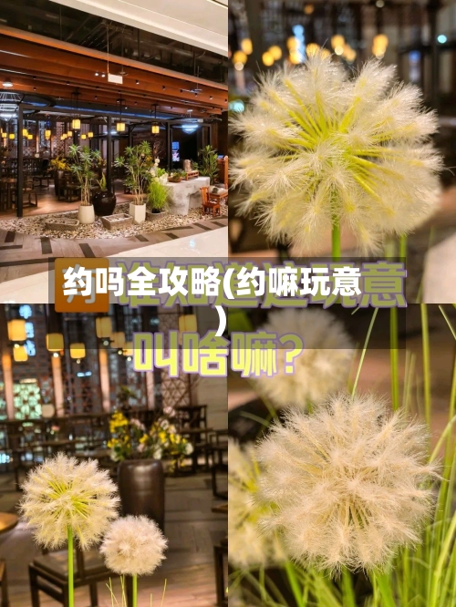 约吗全攻略(约嘛玩意)