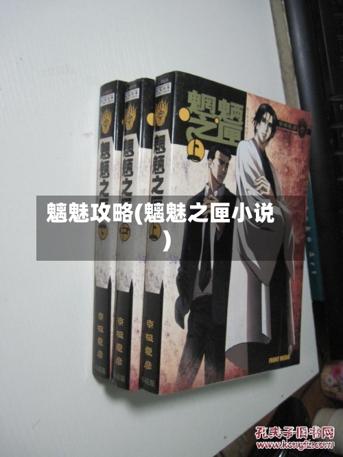 魑魅攻略(魑魅之匣小说)-第2张图片