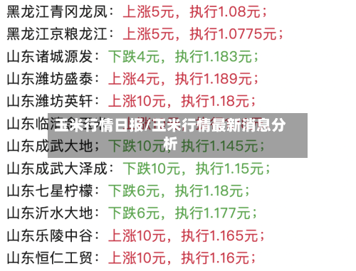 玉米行情日报/玉米行情最新消息分析-第2张图片
