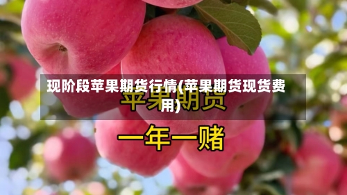 现阶段苹果期货行情(苹果期货现货费用)-第2张图片