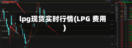 lpg现货实时行情(LPG 费用)-第3张图片