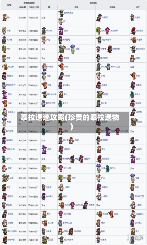 泰拉遗迹攻略(珍贵的泰拉遗物)