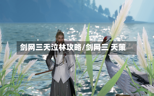 剑网三天泣林攻略/剑网三 天策-第2张图片