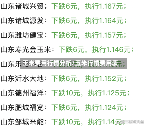 玉米费用行情分析/玉米行情费用表