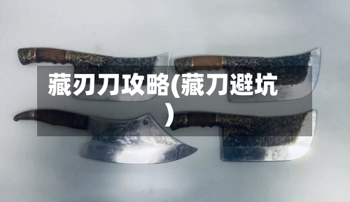 藏刃刀攻略(藏刀避坑)-第2张图片