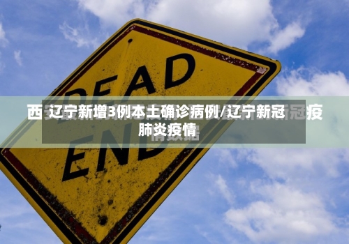 辽宁新增3例本土确诊病例/辽宁新冠肺炎疫情