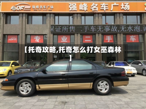 【托奇攻略,托奇怎么打女巫森林】