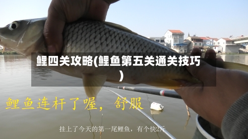 鲤四关攻略(鲤鱼第五关通关技巧)-第3张图片