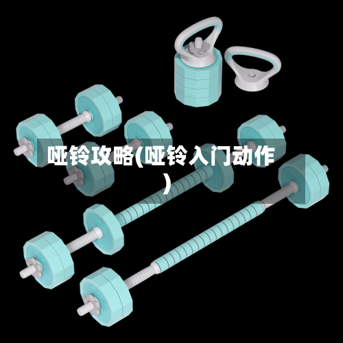 哑铃攻略(哑铃入门动作)