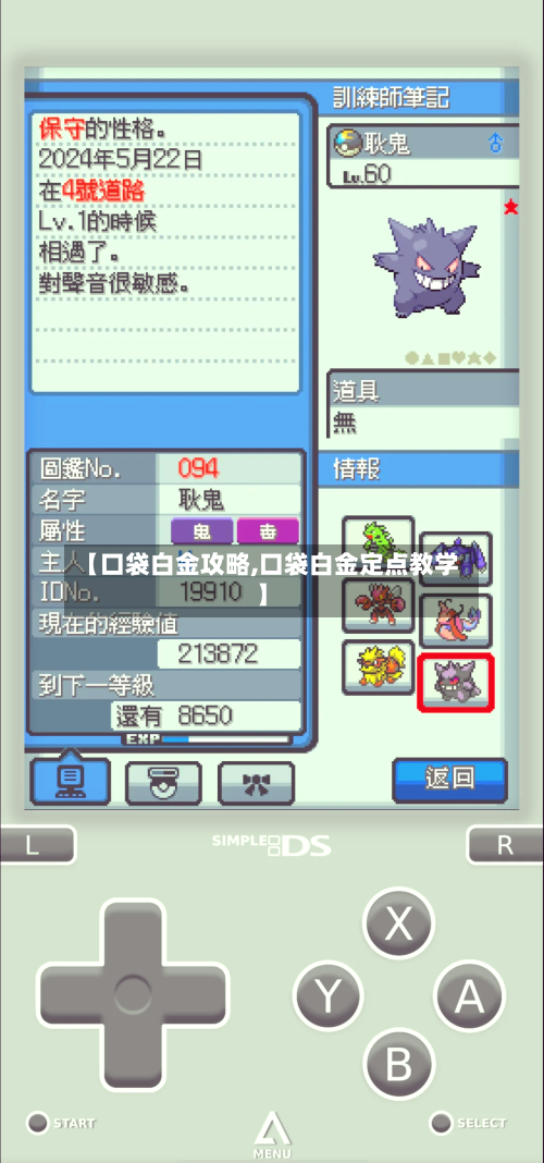 【口袋白金攻略,口袋白金定点教学】-第3张图片