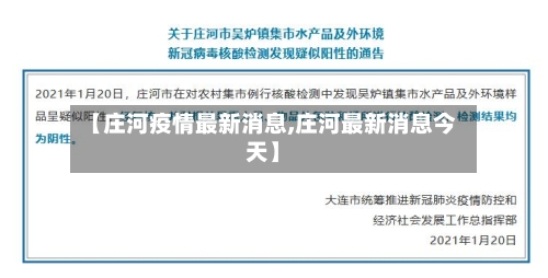 【庄河疫情最新消息,庄河最新消息今天】-第2张图片