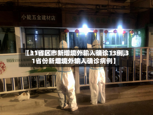 【31省区市新增境外输入确诊13例,31省份新增境外输入确诊病例】