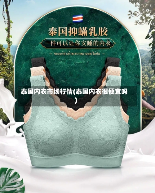 泰国内衣市场行情(泰国内衣很便宜吗)-第3张图片