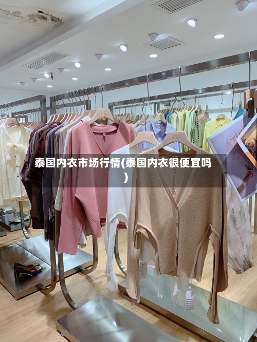 泰国内衣市场行情(泰国内衣很便宜吗)