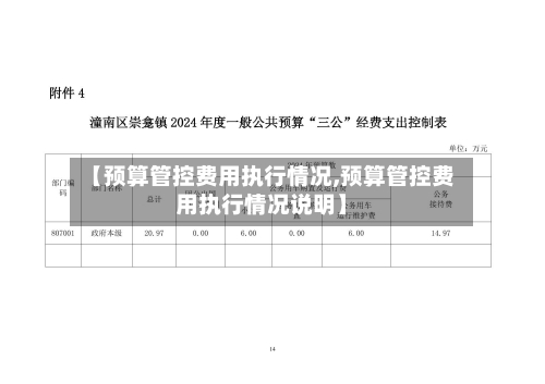 【预算管控费用执行情况,预算管控费用执行情况说明】
