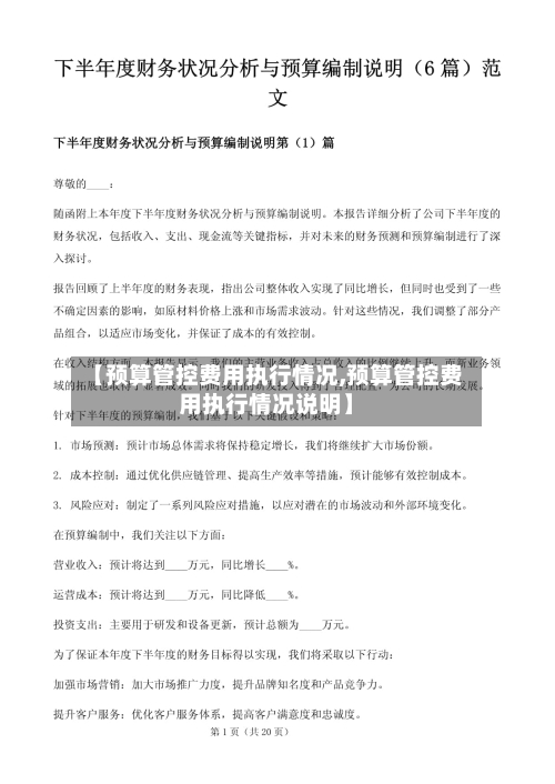 【预算管控费用执行情况,预算管控费用执行情况说明】-第2张图片