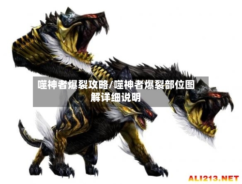 噬神者爆裂攻略/噬神者爆裂部位图解详细说明