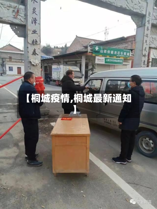 【桐城疫情,桐城最新通知】-第3张图片