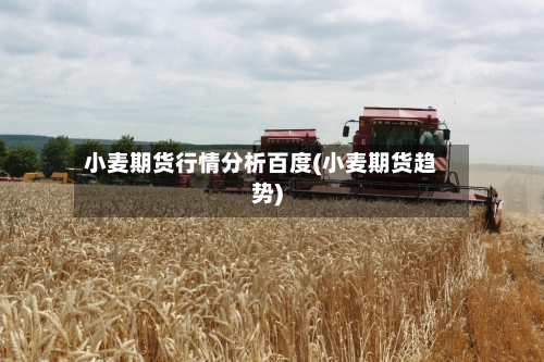小麦期货行情分析百度(小麦期货趋势)