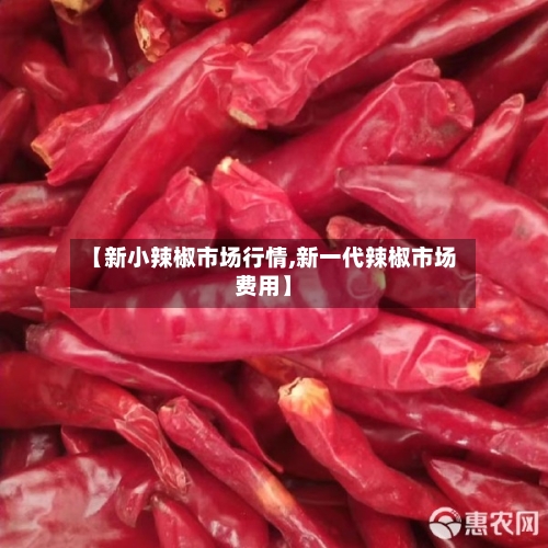 【新小辣椒市场行情,新一代辣椒市场费用】