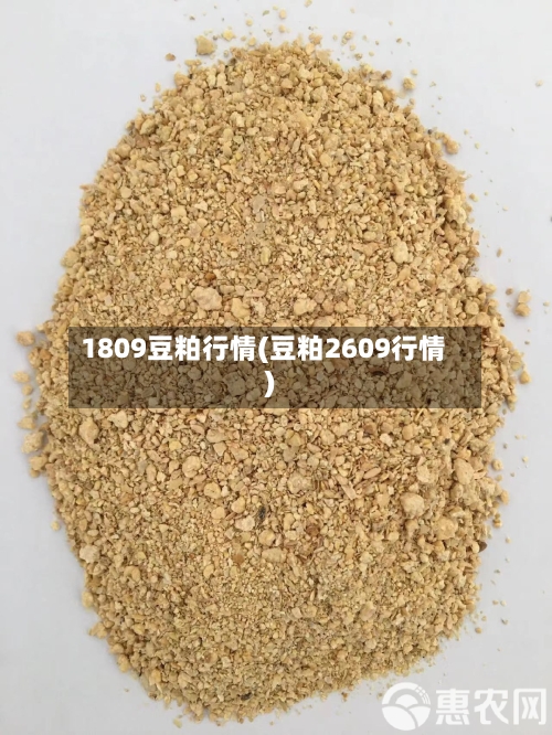 1809豆粕行情(豆粕2609行情)-第2张图片