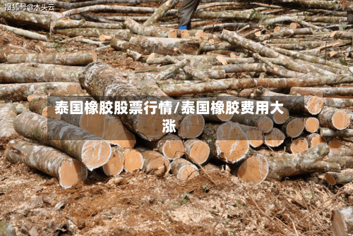 泰国橡胶股票行情/泰国橡胶费用大涨-第3张图片