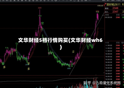 文华财经5档行情购买(文华财经wh6)