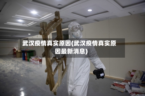 武汉疫情真实原因(武汉疫情真实原因最新消息)-第2张图片