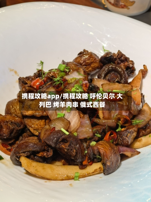 携程攻略app/携程攻略 呼伦贝尔 大列巴 烤羊肉串 俄式西餐