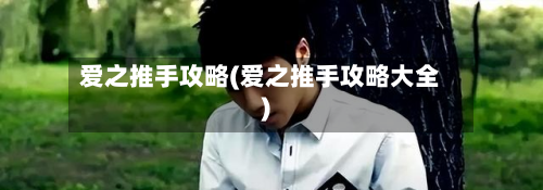 爱之推手攻略(爱之推手攻略大全)