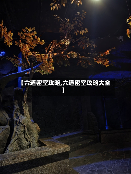 【六道密室攻略,六道密室攻略大全】