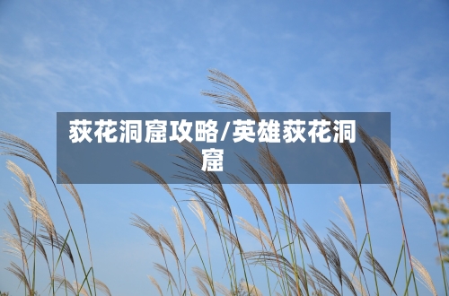 荻花洞窟攻略/英雄荻花洞窟-第3张图片