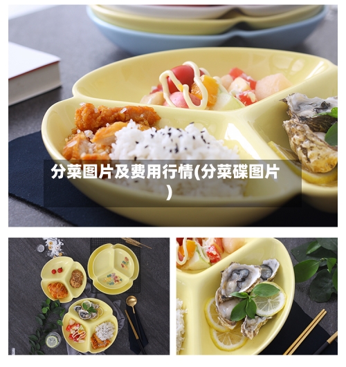 分菜图片及费用行情(分菜碟图片)