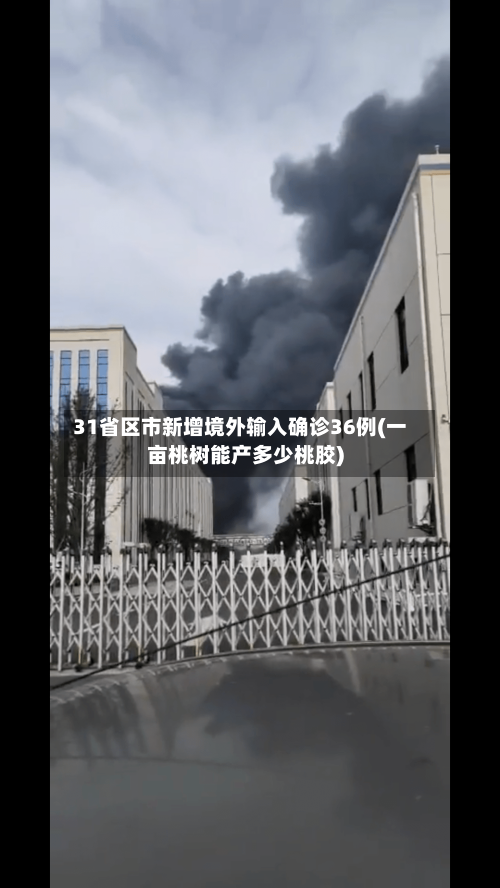 31省区市新增境外输入确诊36例(一亩桃树能产多少桃胶)-第1张图片