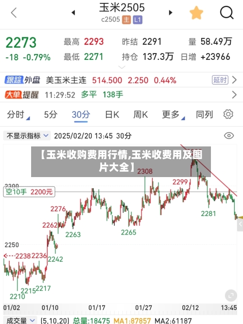【玉米收购费用行情,玉米收费用及图片大全】