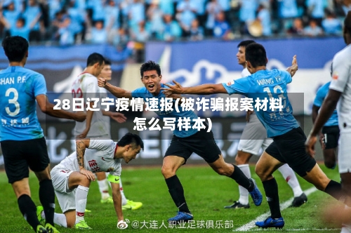 28日辽宁疫情速报(被诈骗报案材料怎么写样本)-第1张图片