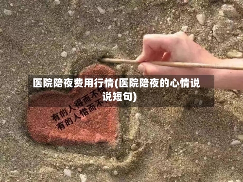 医院陪夜费用行情(医院陪夜的心情说说短句)-第3张图片