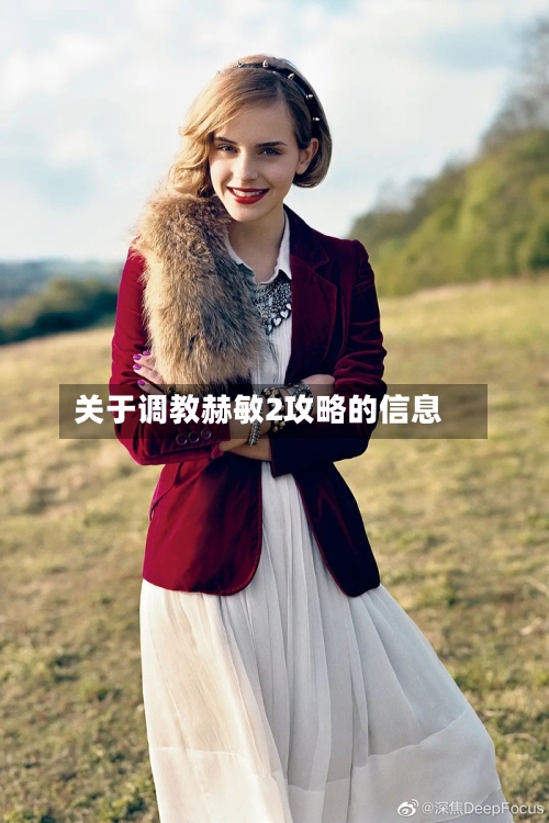 关于调教赫敏2攻略的信息-第1张图片