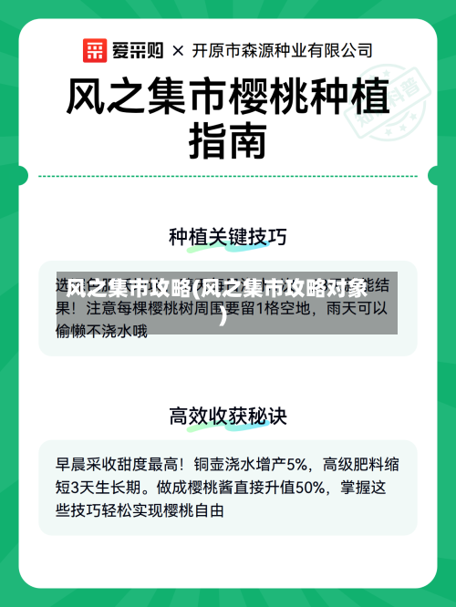 风之集市攻略(风之集市攻略对象)-第1张图片