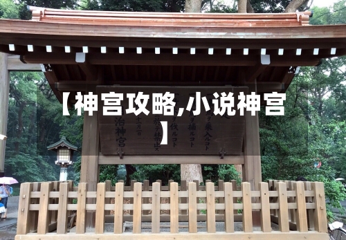 【神宫攻略,小说神宫】-第3张图片