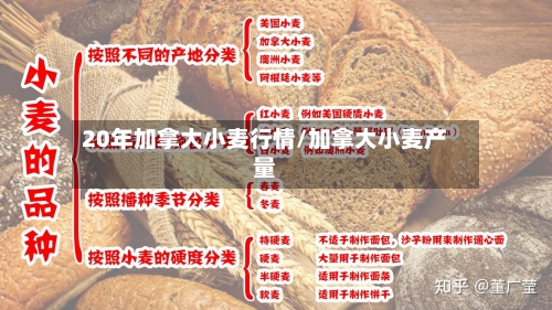 20年加拿大小麦行情/加拿大小麦产量