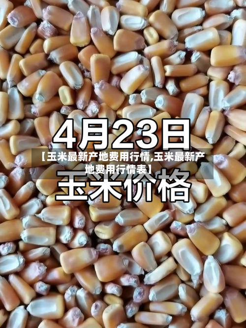 【玉米最新产地费用行情,玉米最新产地费用行情表】-第1张图片