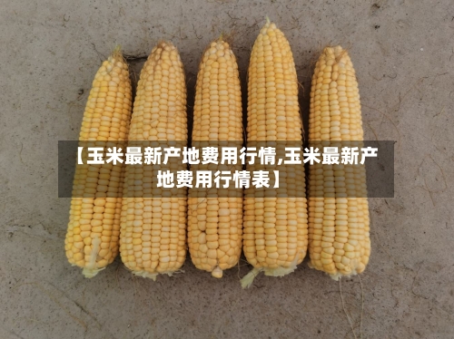 【玉米最新产地费用行情,玉米最新产地费用行情表】-第2张图片