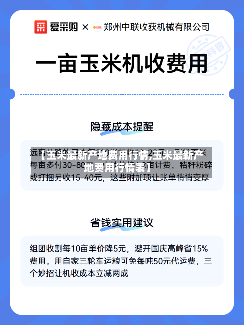 【玉米最新产地费用行情,玉米最新产地费用行情表】-第3张图片