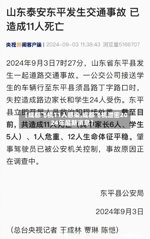 【成都飞机11人感染,成都飞机泄密2024年最新消息】-第1张图片
