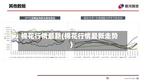 棉花行情最新(棉花行情最新走势)-第1张图片